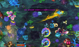 91y捕鱼游戏直播,畅享欢乐海洋，尽享捕鱼乐趣